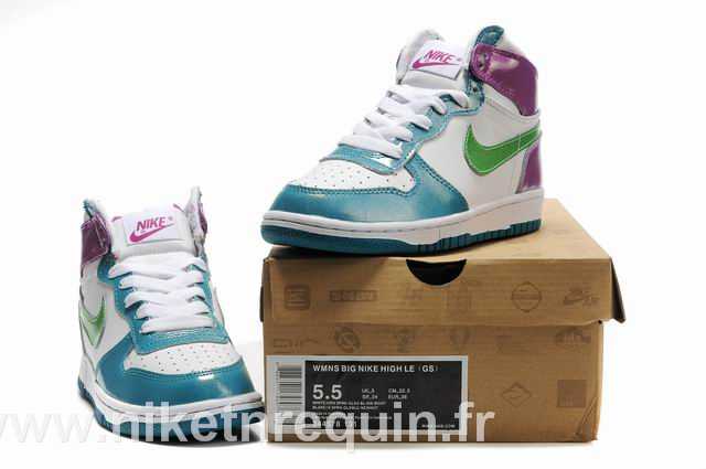 Nike Dunk SB chaussures (2)